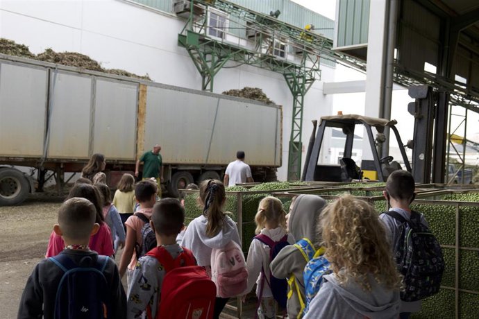 Archivo - La DOP Estepa celebrará la Semana del Olivo.
