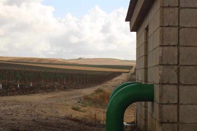 Dos empresas de Rabanales 21 y Smart City Clúster desarrollan un proyecto para optimizar el uso del agua.