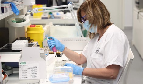 Investigación