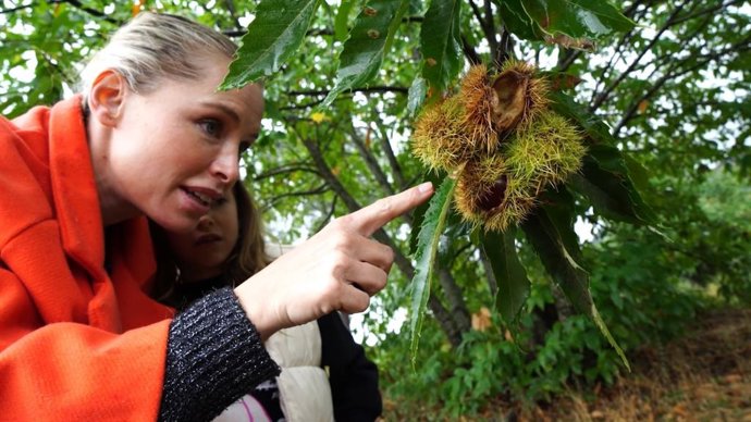 Soraya protagoniza la nueva campaña promocional de Tajo Internacional