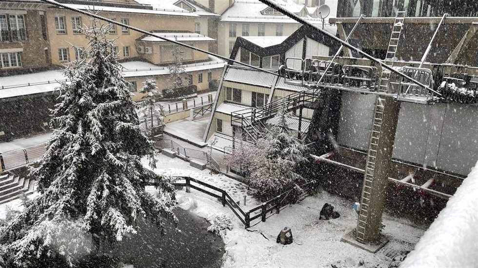 Nieve en Sierra Nevada