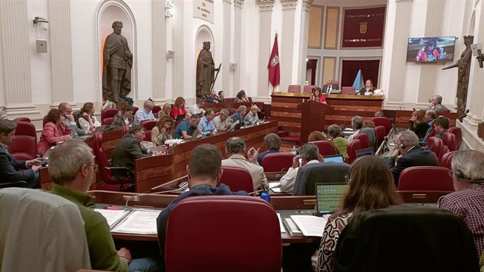 Pleno de las Juntas Generales de Álava
