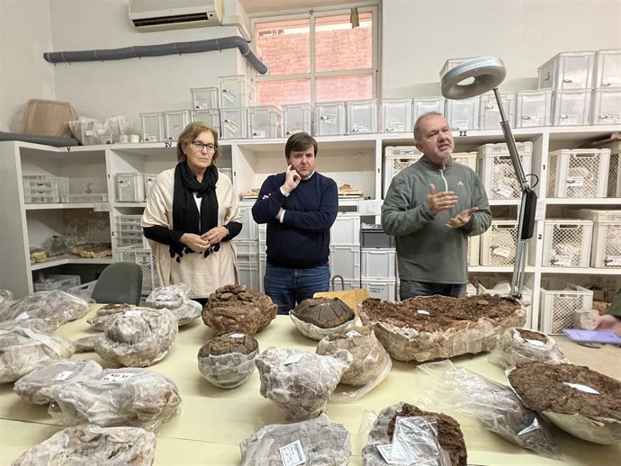 Descubren una necrópolis prehistórica y un yacimiento inédito en las excavaciones de Sant Gregori