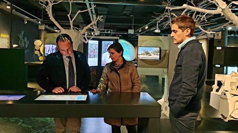 Visita al Museo Terra Oleum.