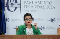 Adelante rechaza el Presupuesto 2023 con enmienda a totalidad: "Deshacen los servicios públicos como un azucarillo"