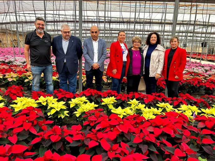 Np Capadr  Almería Produce 3,5 Millones De Flores De Pascua Que Suponen El 33% Del Total Nacional