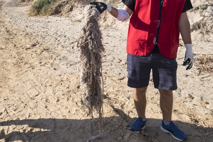 Archivo - Restos de toallitas acumuladas en una playa y recogidas por los voluntarios de Proyecto Libera, de Ecoembes y Seo/BirdLife.