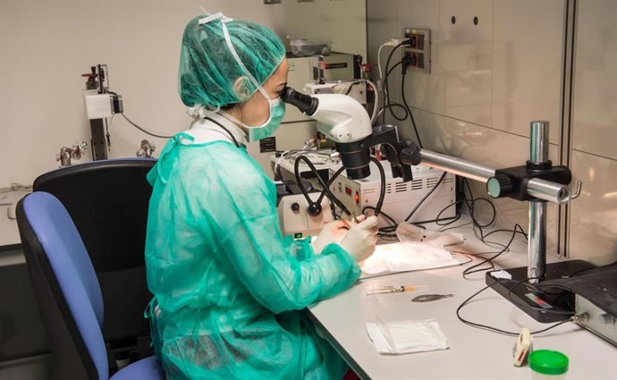 Archivo - Hospital. Archivo. 