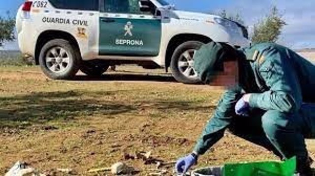 Archivo - Un guardia civil junto a los restos encontrados en Ribera del Fresno. Archivo.