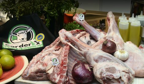 Extremadura