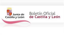 Extracto de la Orden por la que se convocan ayudas al estudio a los alumnos que cursen estudios universitarios de grado en las universidades de Castilla y León durante el curso académico 2022-2023