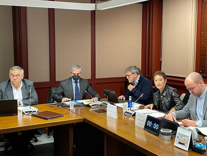 La teniente de diputado general, Pilar García de Salazar, ha presentado el proyecto de presupuesto de su departamento para 2023 en las Juntas Generales de Álava 