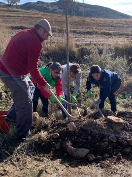 Las Arboladas de la Diputación terminan con más de 350 participantes y la plantación de más de 1.500 árboles y arbustos.