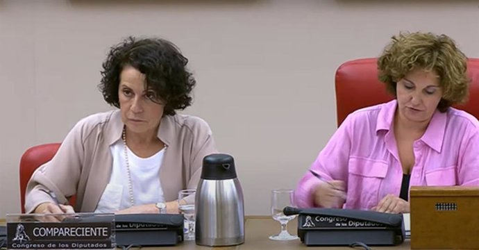 Archivo - La directora general de la Agencia Estatal de Administración Tributaria (AEAT), Soledad Fernández, durante su intervención en la Comisión de Presupuestos en el Congreso de los Diputados.