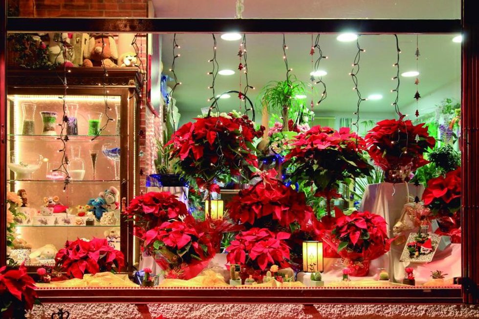 Archivo - Escaparate de Navidad en Alcobendas.