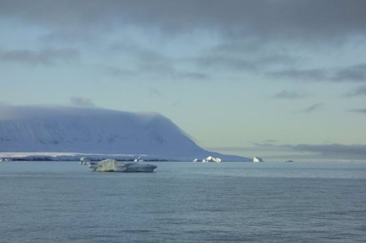 Odkryj Arctic Carbon Conveyor Belt