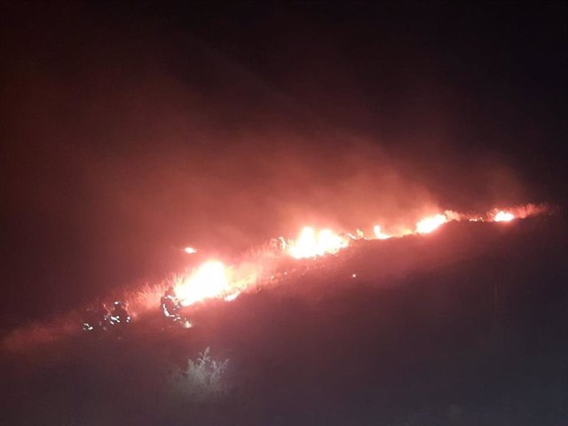 Incendio forestal en Uleila del Campo (Almería).