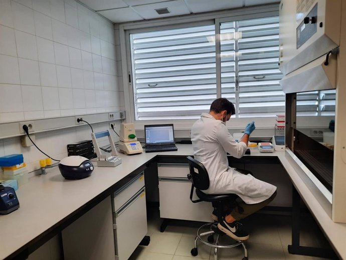 Archivo - Un profesional del laboratorio de Salud Pública de Andalucía en Málaga, foto de recurso