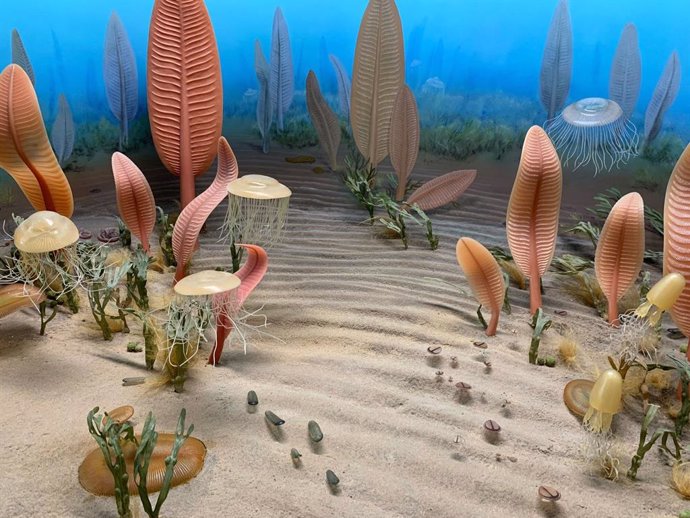 Diorama que representa criaturas marinas de la era de Ediacara.