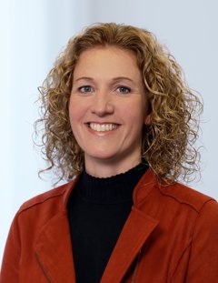 Comunicados Internacional