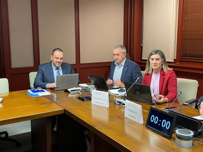 La diputada foral de Equilibrio Territorial, Irma Basterra, ha presentado este martes en la Comisión de Hacienda, Finanzas y Presupuestos de las Juntas Generales de Álava las cuentas de su departamento para 2023.