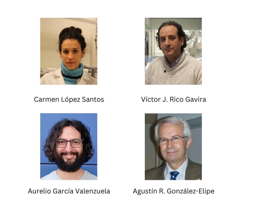 Diseñan un recubrimiento antibacterias para proteger las superficies de acero inoxidable