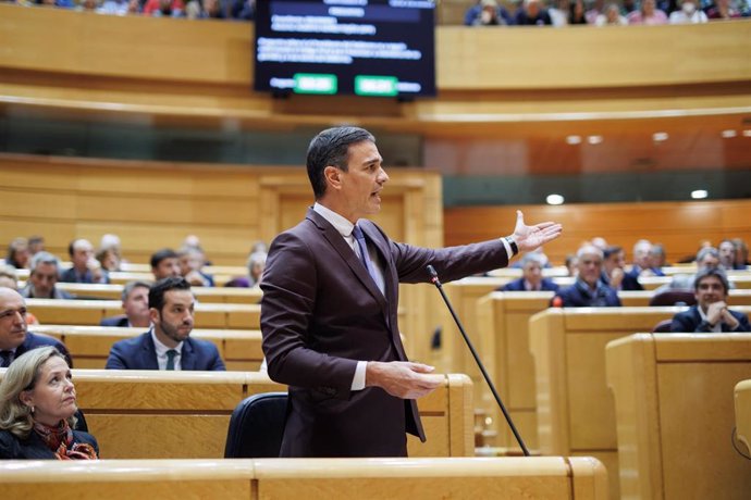 El presidente del Gobierno, Pedro Sánchez, interviene durante una sesión de control al Gobierno en el Senado