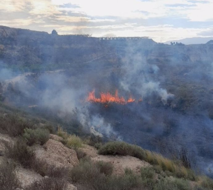 Incendio declarado en el cauce de la rambla de El Tinajón, en Molina de Segura (Murcia)