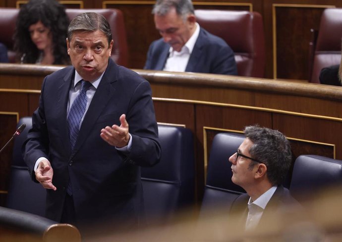 Archivo - El ministro de Agricultura, Pesca y Alimentación, Luis Planas, interviene durante la sesión de control al Gobierno del Pleno del Congreso
