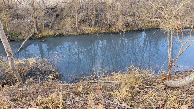 Estado del arroyo Sangüeño en Aldeamayor de San Martín como consecuencia de vertidos ilegales.