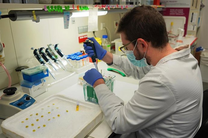 Investigador del grupo de Cáncer y Enfermedades Hematológicas Infantiles del VHIR