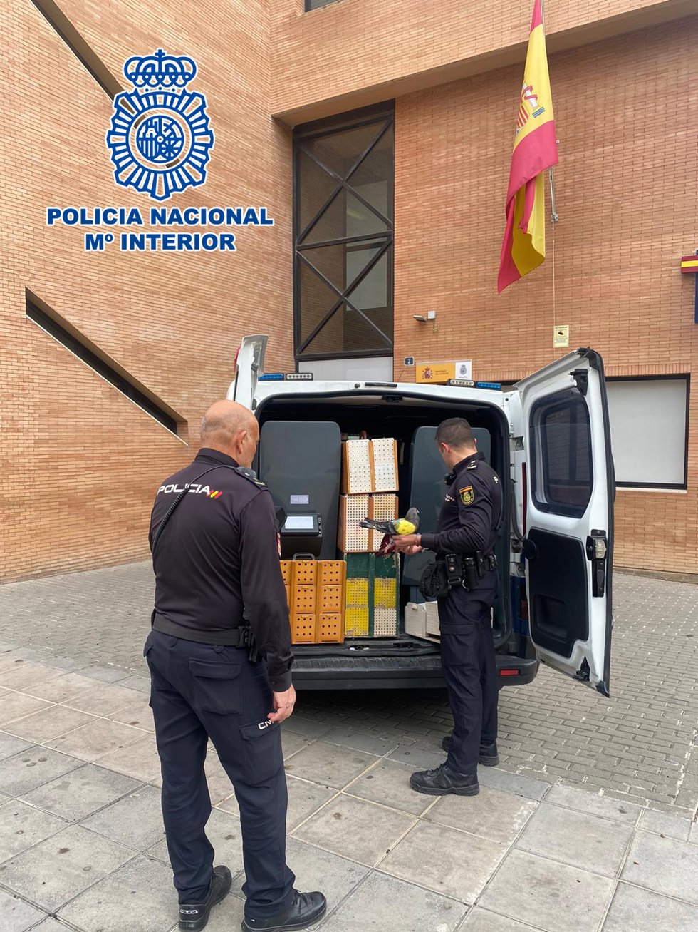 Nota De Prensa: "La Policía Nacional Detiene A Dos Personas Por Sustraer 120 Palomos De Alta Competición"