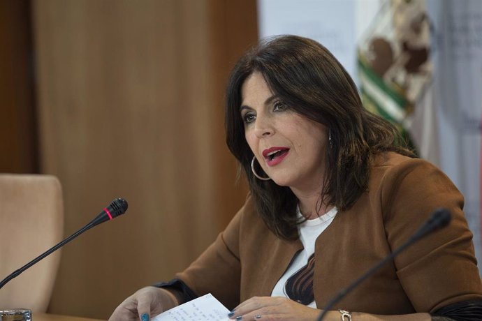 La portavoz del grupo parlamentario PSOE-A, Ángeles Férriz, en una foto de archivo en rueda de prensa.