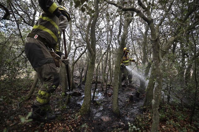 El delegado de Protección Civil de la Diputación de Córdoba y presidente del Consorcio de Bomberos, Rafael Llamas, en la inauguración de ExpoEMER