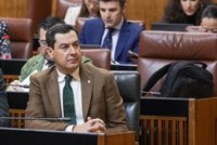 Moreno subraya que la alcaldesa de Marbella "no está investigada" y confía en el origen "legal" de su patrimonio