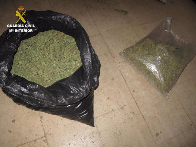 Marihuana intervenida por la Guardia Civil, en imagen de archivo