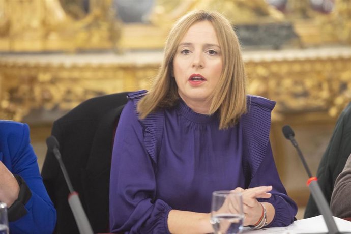 Ana Carrera, portavoz del PSOE en la Diputación de Cádiz.