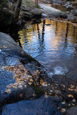 Imagen de archivo de un arroyo