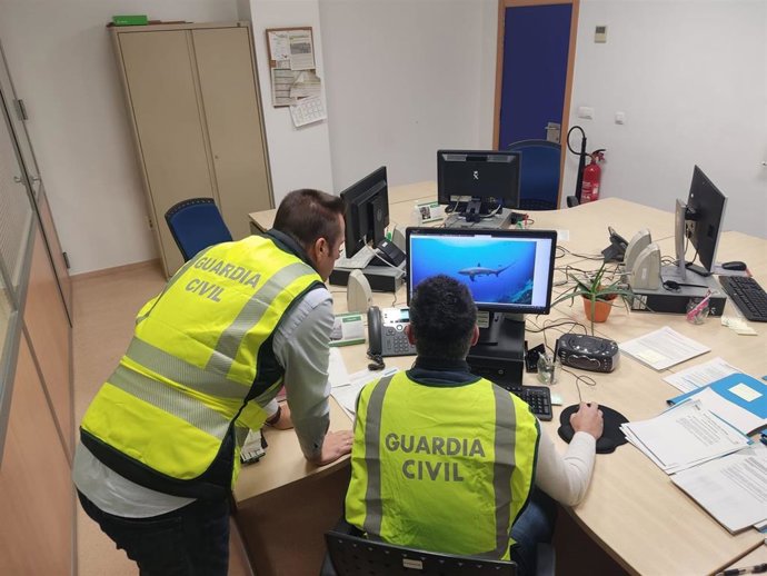 Investigadas seis personas en Gipuzkoa por la comercialización irregular de tres ejemplares de tiburón zorro