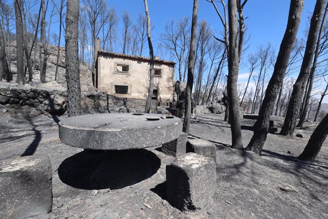 Archivo - Zona arrasada por un incendio, en la Muela del Buste, en la provincia de Zaragoza.