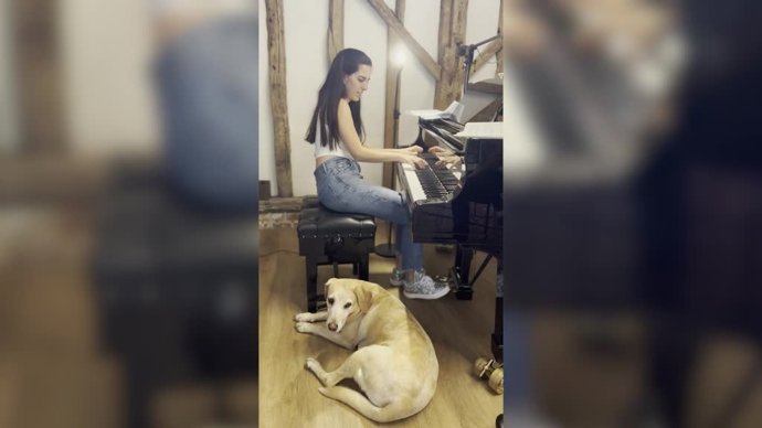 La reacción de este perro al oir a su dueño tocar el piano: adorable
