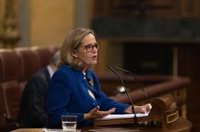 Calviño pide no dar por sentada la estabilidad financiera y anticiparse a los riesgos