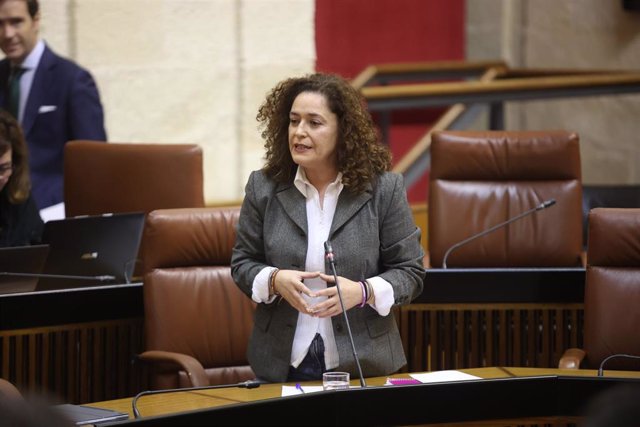 Inmaculada Nieto, portavoz de Por Andalucía, en la sesión de control al Gobierno en el Parlamento.