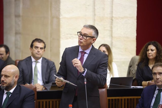 El portavoz de Vox, Manuel Gavira, este jueves en el Pleno del Parlamento