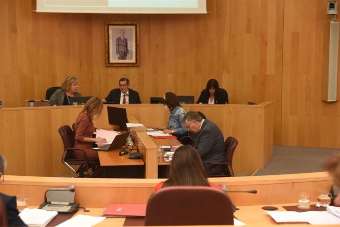 Pleno de la Diputación de Granada.