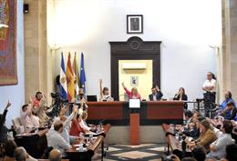 Archivo - Pleno del Ayuntamiento de Jerez.