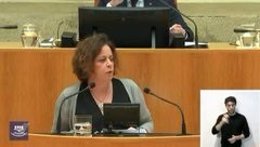 La diputada de IU, Henar Moreno