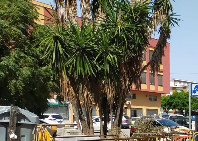 Edificio de lls juzgados y mercado de San José. ARCHIVO