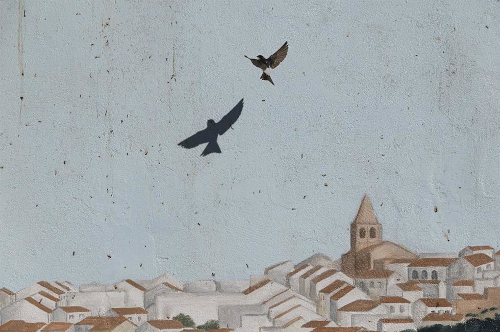Primer Premio Por Su Fotografía Titulada 'House Martin'.