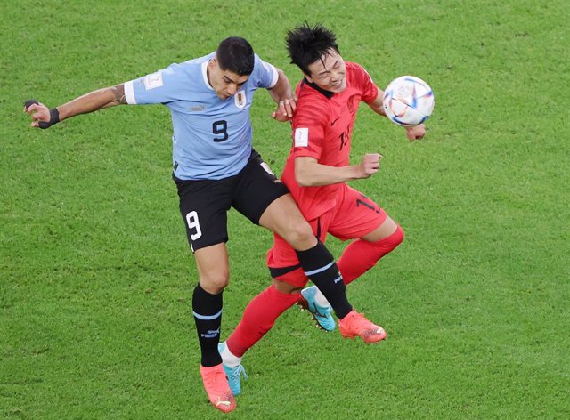 24 November 2022, Qatar, Al Rayyan: South Korea's Kim Young-gwon (R) and Uruguay's Luis Suarez battle for the ball during the FIFA World Cup Qatar 2022 Group H soccer match between Uruguay and South Korea at the Education City Stadium. Photo: -/YNA/dpa